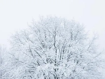 White Noise Music For Deep Sleep