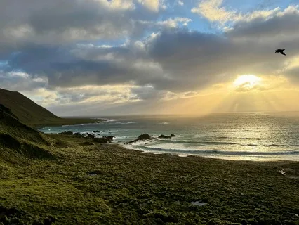 White Noise Ocean Waves