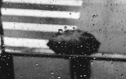 White Noise: Rain Sound, Focus, Relaxation, Deep Sleep. 