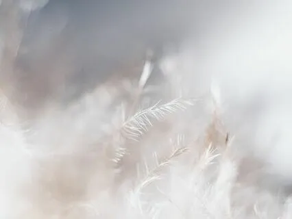 White Noise - Relaxation, Performance, ADHD, Babies