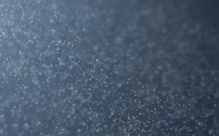 Who Am I? Awaken To Your True Self