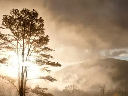 Who Am I? Koan Meditation