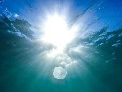 Who Am I - The Witness (Theta Binaural Beats)