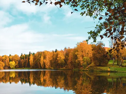 Cultivating Emotional Intimacy