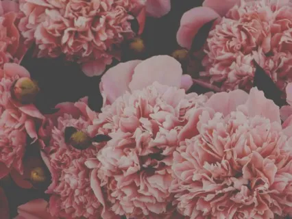 Who Are You - A Guided Theta Wave Meditation