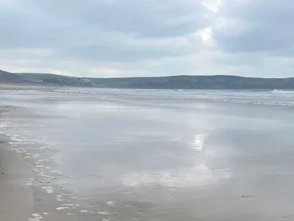 Who Are You Becoming - Visualization