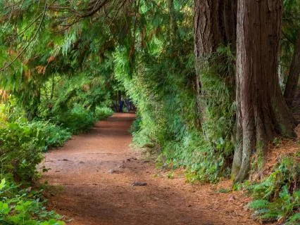 Who Cares For The Cargivers?