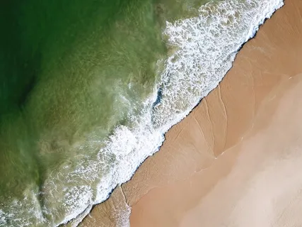 Who Do You Trust? Friends, Family, Your Cellphone, Yourself?