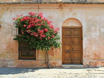 Who Forever | Sufi Love Poem