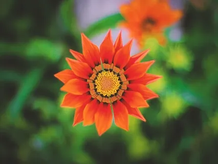 Who is Yogi & Meditator - Man Of Steady Wisdom - 3