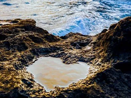 Who Is Your Heart Calling You To Be?