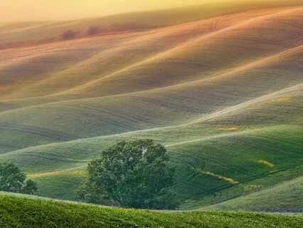 Who Is Your Superhero?