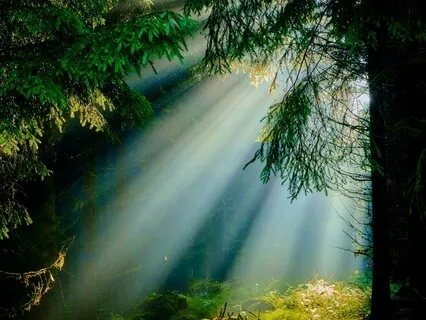 Who Teaches The Teacher?