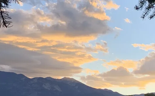 Whole Being Connection