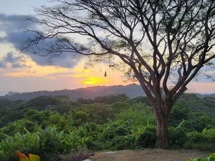 Whole Body Awareness