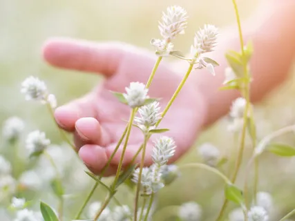 Whole Body Breathing