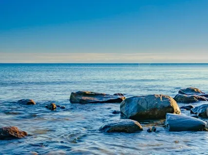 Whole Body Breathing