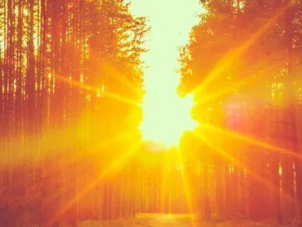 Whole Body Gratitude - A Crystal Sound Meditation