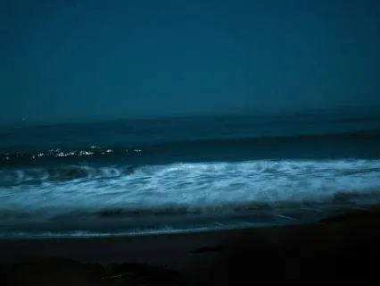 Whole Body Melt: 8-hour Yoga Nidra With Ocean Waves