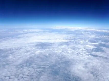 Whole-Body Mystical Activism