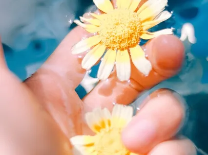 Whole Body Rest - An Inner Landscape Of Calm