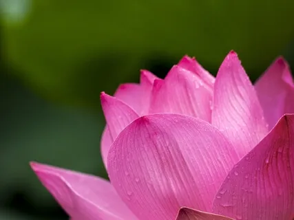 Whole Body Smile Meditation