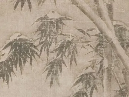 Whole Body Yin For Deep Stretch & Calm Nervous System