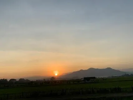 Whole From The Whole