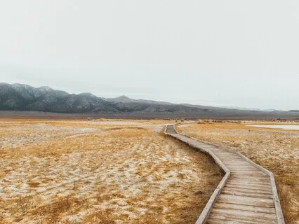 Activate The Wholeness Of The Self