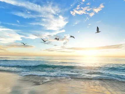 Wholeness Embodied Meditation