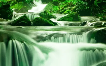 Wholeness Meditation With Tarah