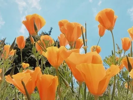 Acknowledging Our Wholeness