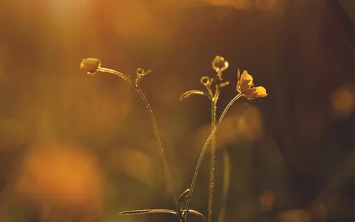 Whose Life Are You Living?