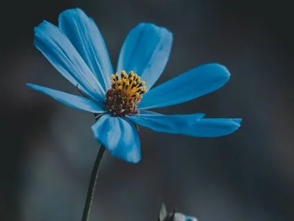 Why A Good Question Is Worth More Than A Great Answer