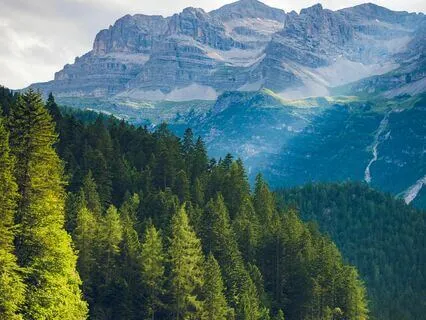 Why And How To Be Kinder To Yourself Every Day