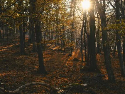 How To Take A Digital Detox