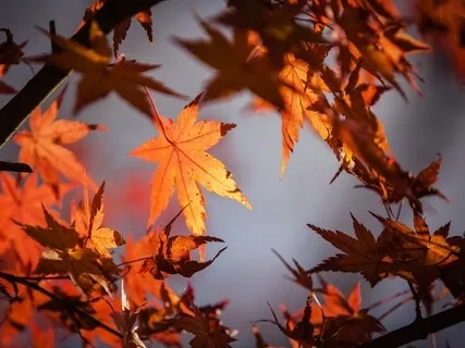 Why Being Busy Is A Choice