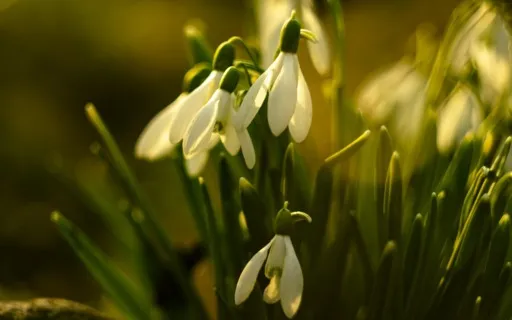 Why 'Blissing Out' Shouldn't Be The Goal Of Your Practice