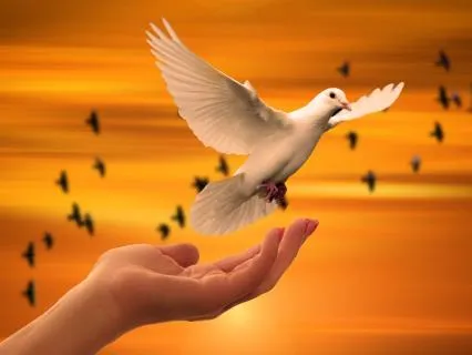 Why Separation Hurts & Why Letting Go Feels Impossible