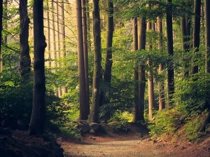 Why Compassion Might Just Save Your Life