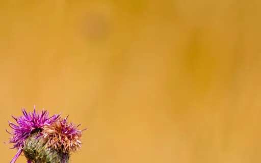 Why Complaining And Resisting Never Serves Us