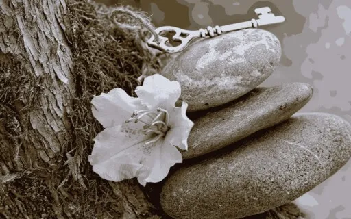 Why Do We Have Experiences?