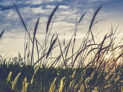 Why Do We Meditate? The Three Stages Of Mindfulness Development 