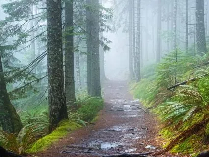 Why Do We Resist What We Feel? Understanding Dveṣa