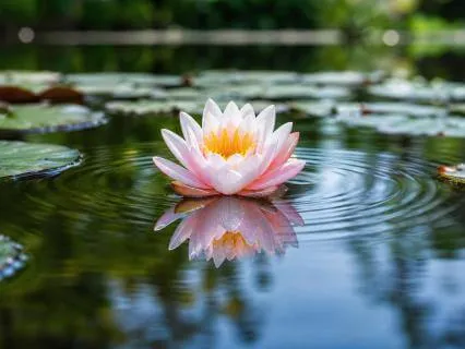 Why Does It Still Hurt? A Meditation To Soften Suffering