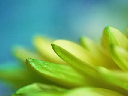 Why Focus On The Body In Meditation?