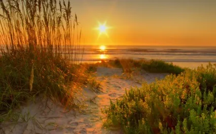 Why Giving Up Is A Good Thing 