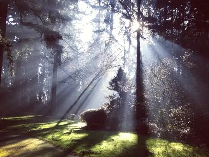 Why God Is Good, (All The Time)