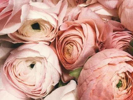 Why Gratitude Changes Everything