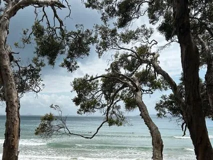 Why How You Breathe Shapes How You Feel